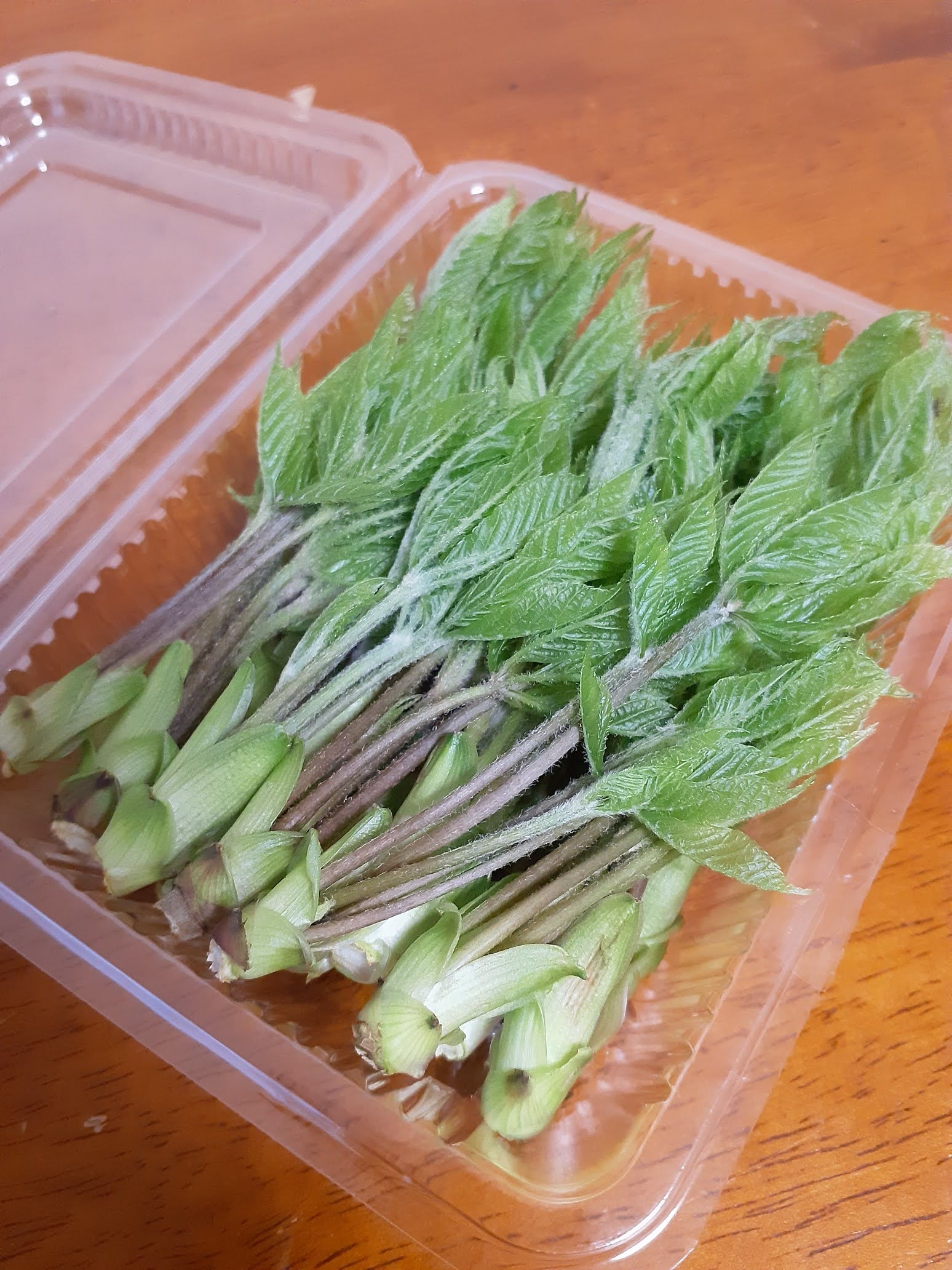 山菜の女王「こしあぶら」 - 美味しい日本